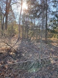 0 Bellevue Road, Unit LOT 1 Haughton, LA 71037 - Photo 4 of 5 a view of a yard with trees