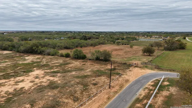 an aerial view of forest
