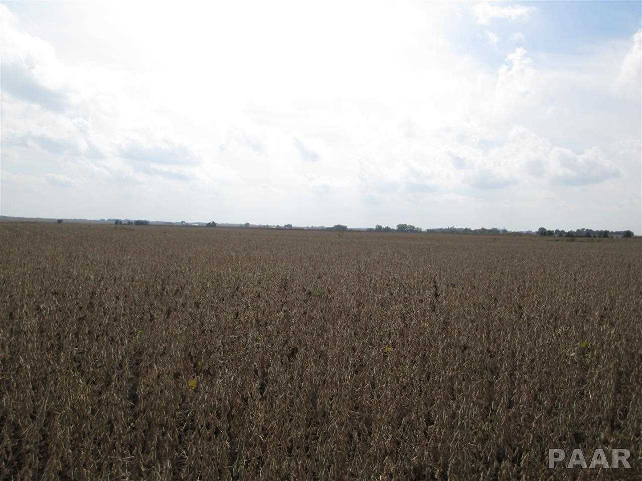 3 West Mendell Road Princeville, IL 61559 - Photo 1 of 1 Gallery Image 1