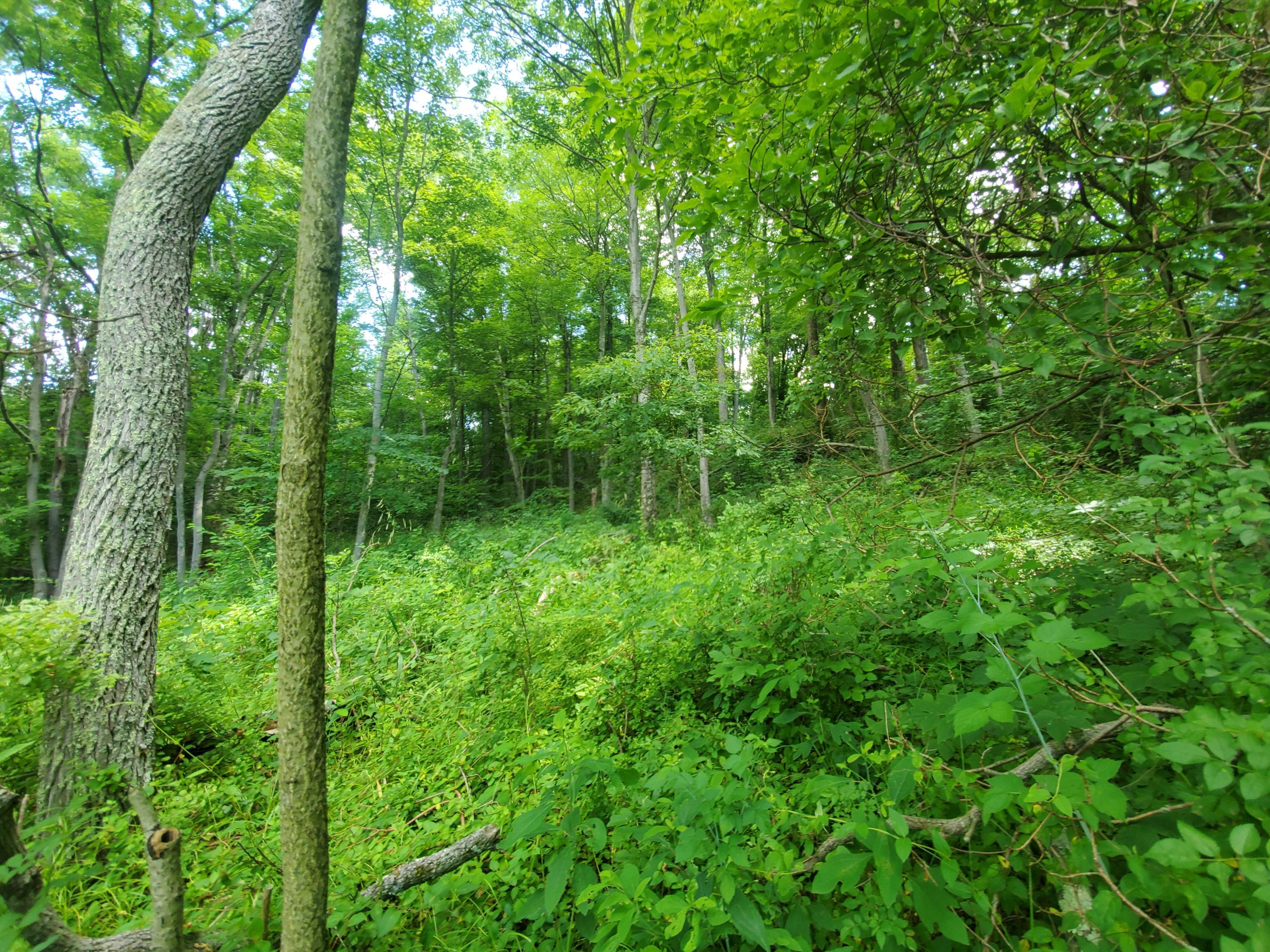15363 Burcham Road Logan, OH 43138 - Photo 14 of 17 Gallery Image 14