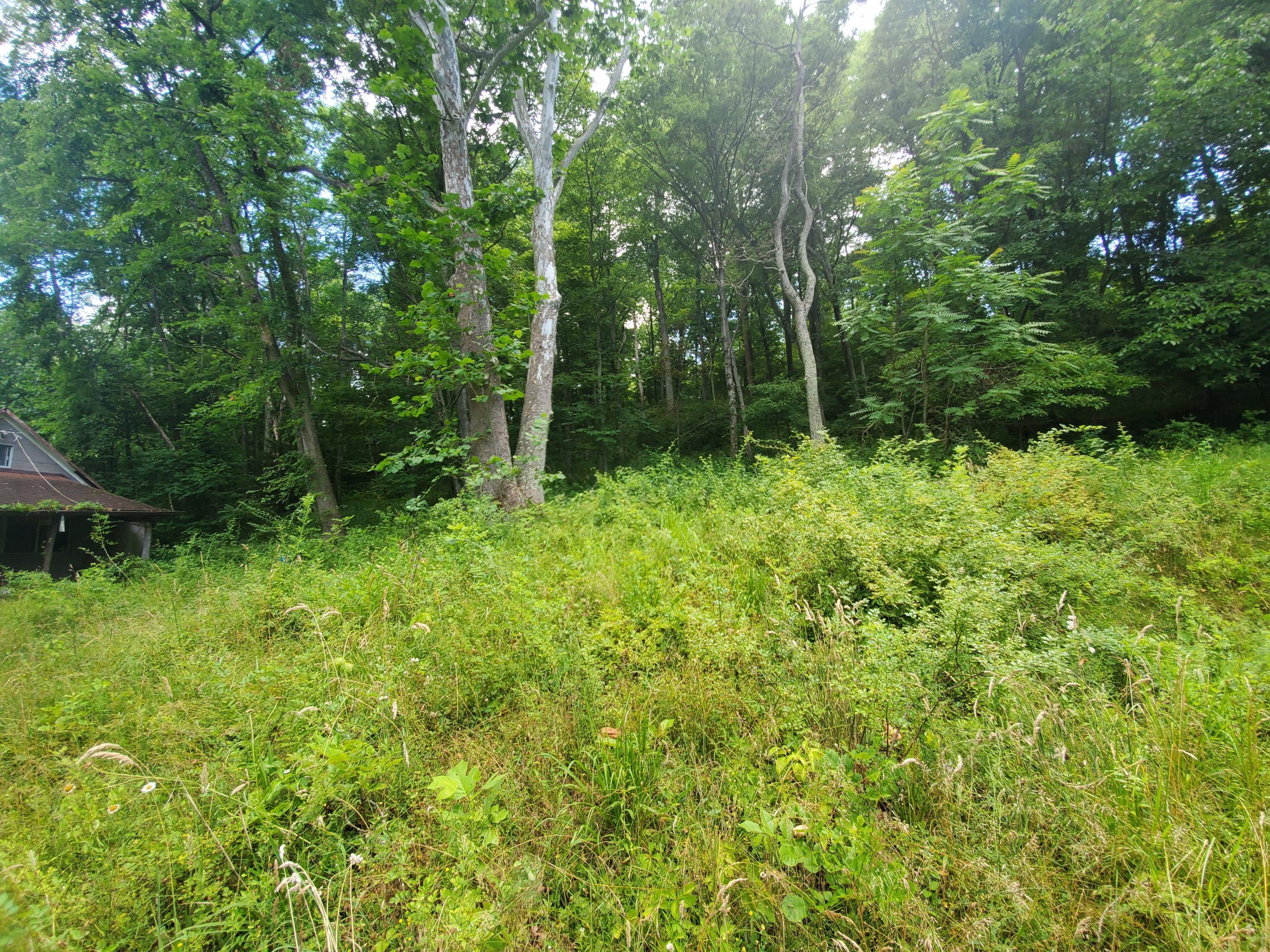 15363 Burcham Road Logan, OH 43138 - Photo 16 of 17 Gallery Image 16