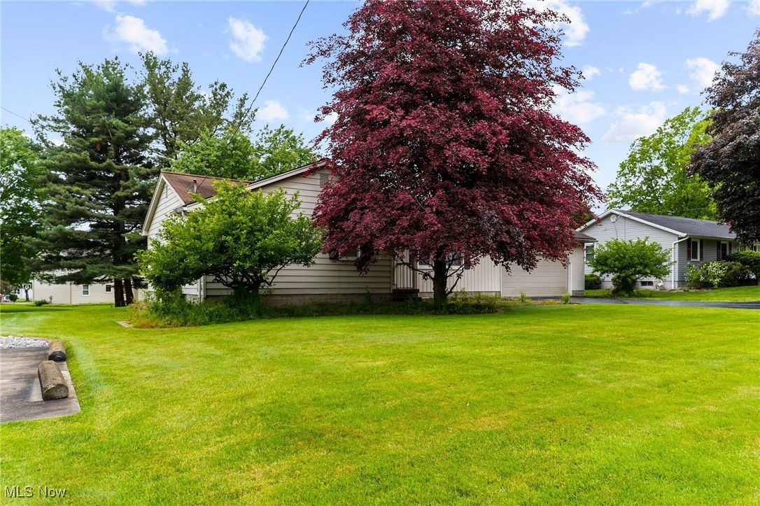 1295 Shields Road Youngstown, OH 44511 - Photo 3 of 27 View of green lawn with driveway
