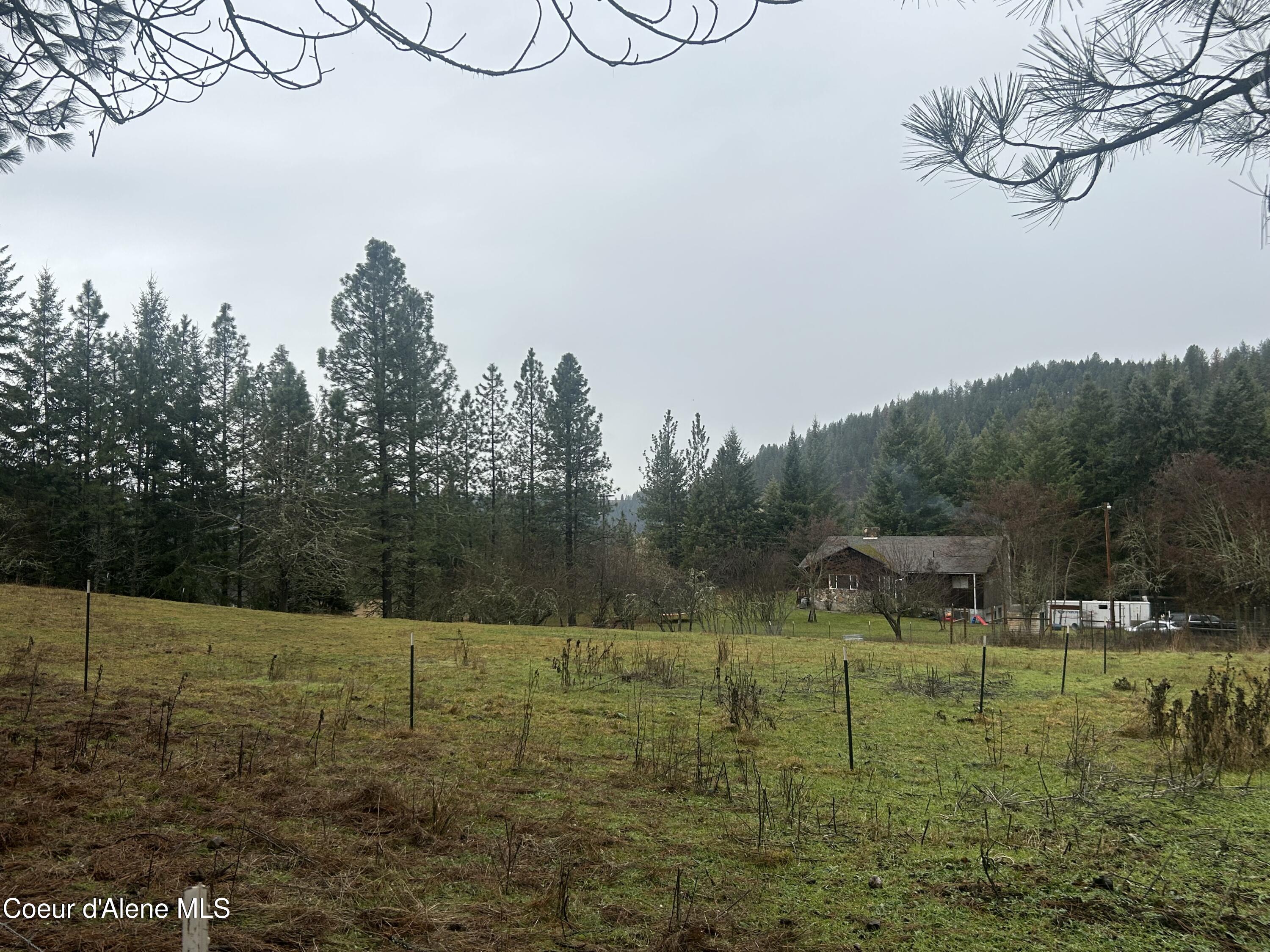 386 Big Cedar Road Kooskia, ID 83539 - Photo 20 of 27 IMG_6384