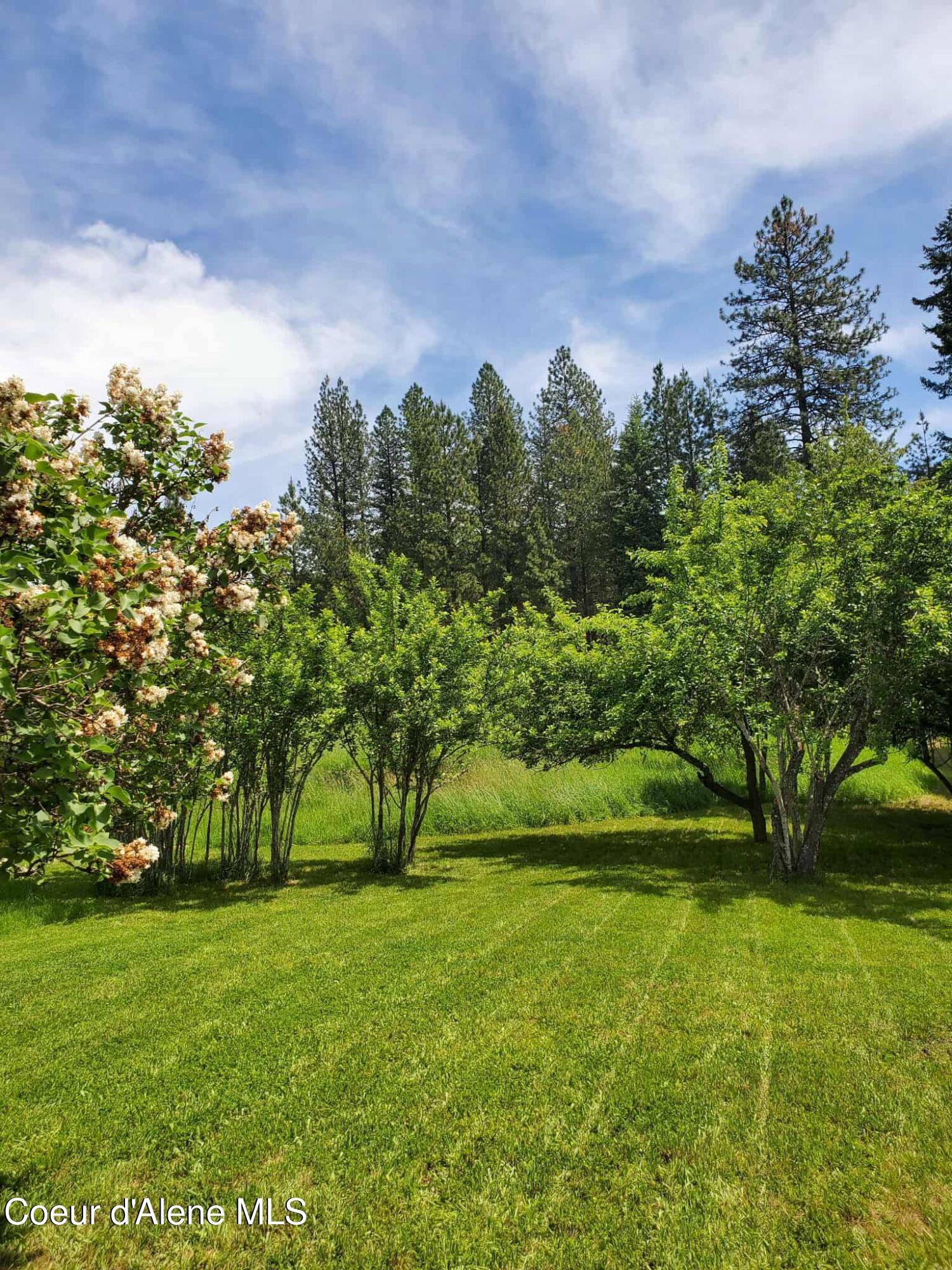 386 Big Cedar Road Kooskia, ID 83539 - Photo 26 of 27 IMG_6397