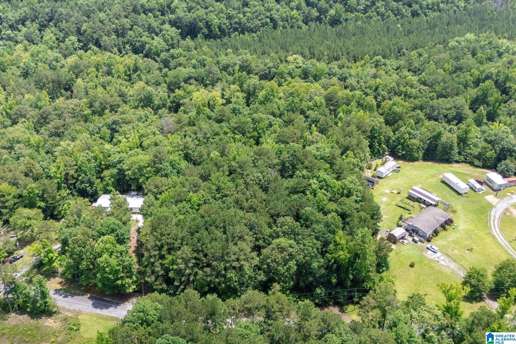 0 Waldrop Road, Unit 1 Ashville, AL 35953 - Photo 8 of 13