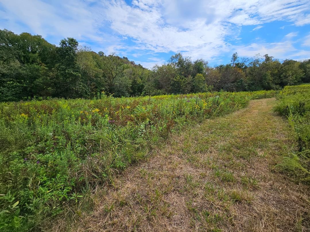 0 Highway 96 Buffalo Valley, TN 38548 - Photo 1 of 8