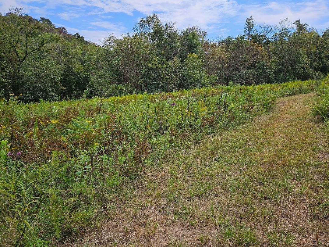 0 Highway 96 Buffalo Valley, TN 38548 - Photo 2 of 8