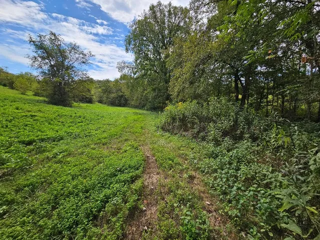 $899,900 | 0 Highway 96, Buffalo Valley, TN 38548