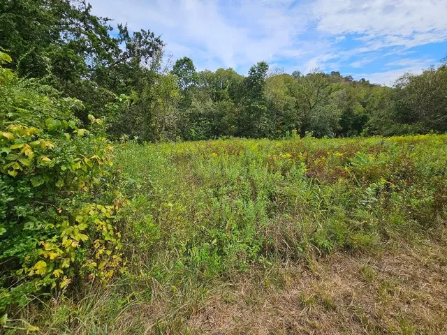 $899,900 | 0 Highway 96, Buffalo Valley, TN 38548