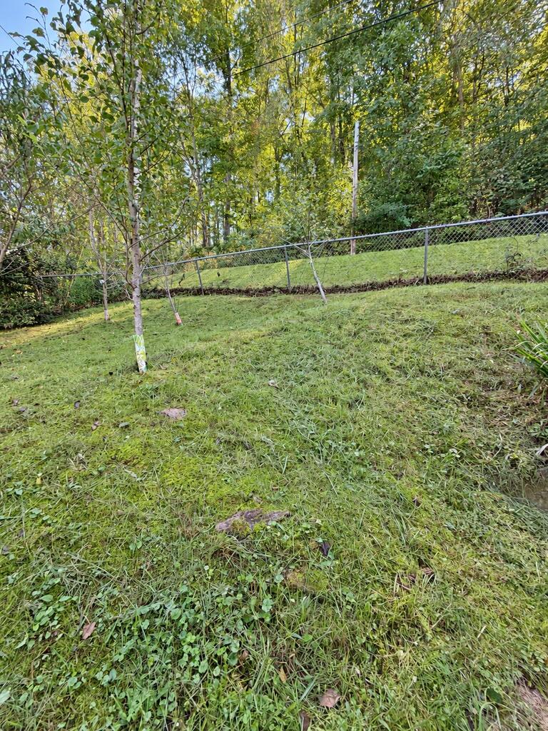 164 Beulah Road Mount Hope, WV 25880 - Photo 43 of 46 Gallery Image 43