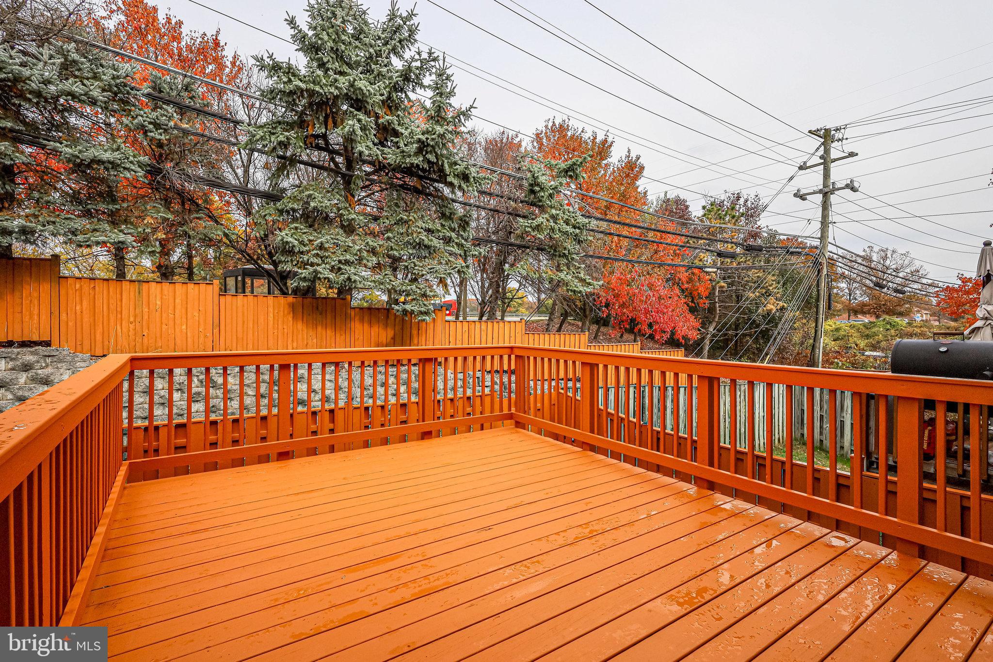 6340 Racetec Place Springfield, VA 22150 - Photo 17 of 59