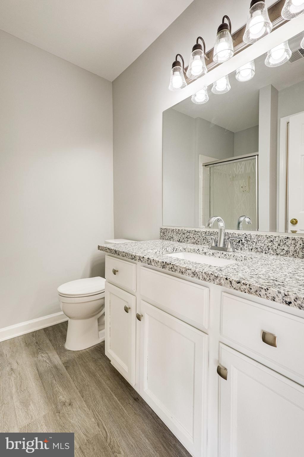 6340 Racetec Place Springfield, VA 22150 - Photo 30 of 59