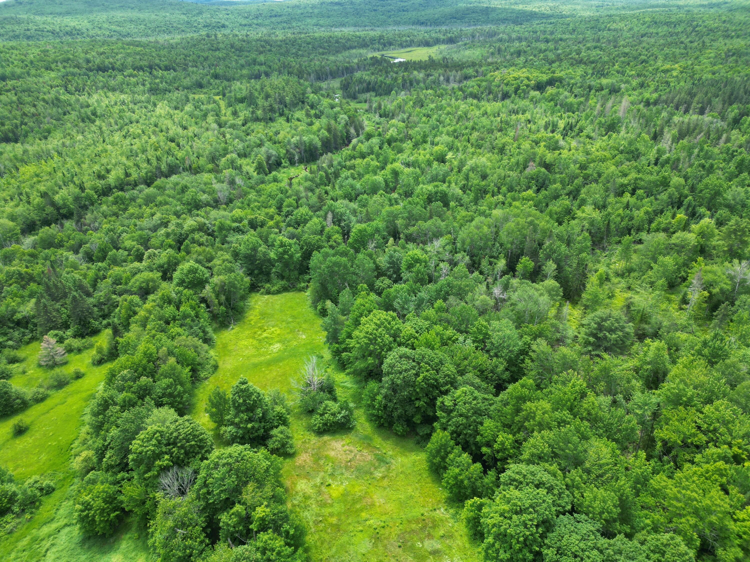 Lot 2 Main Road Carroll Plt, ME 04487 - Photo 14 of 14 DJI_0765