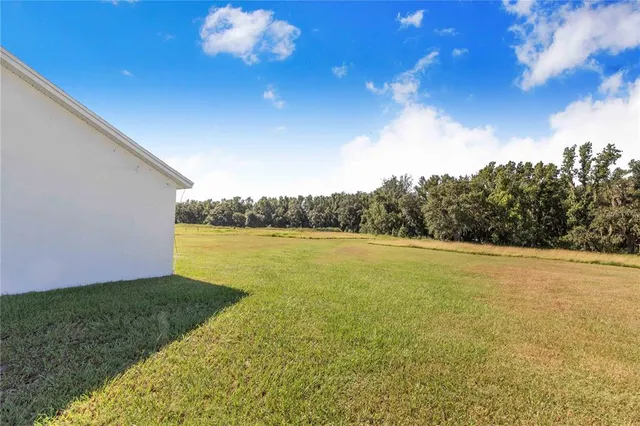 a view of a swimming pool with lounge chair