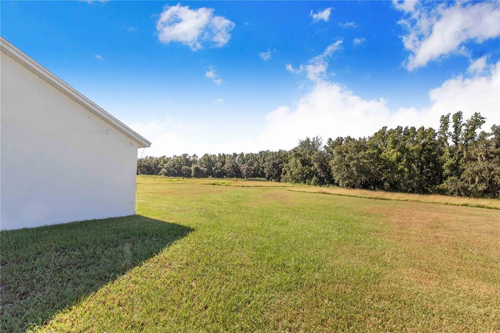 705 Brook Road North Fort Meade, FL 33841 - Photo 45 of 54 a view of an ocean and a mountain