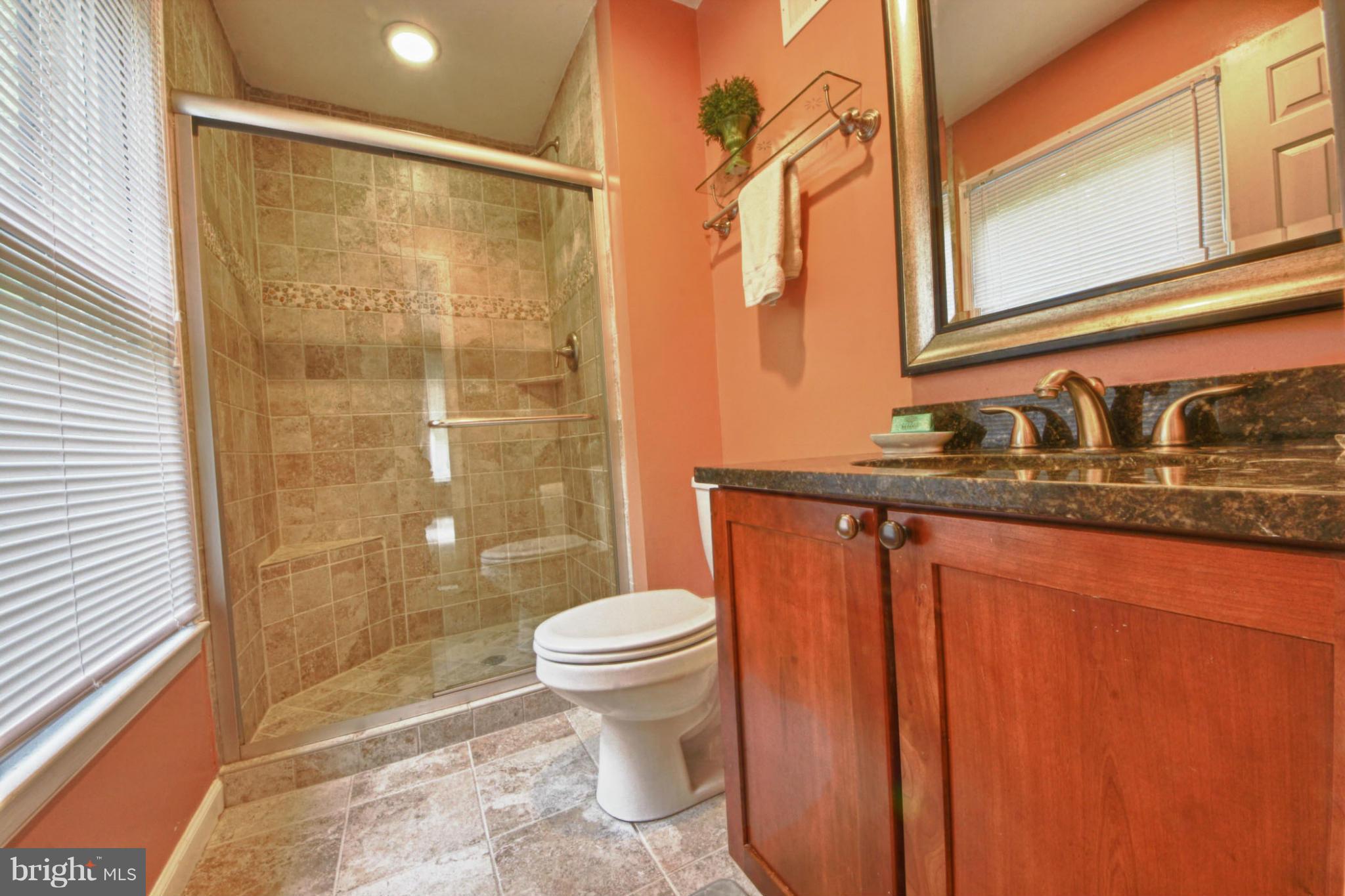 6285 Rathlin Drive Springfield, VA 22152 - Photo 10 of 18 a bathroom with a sink a toilet and shower