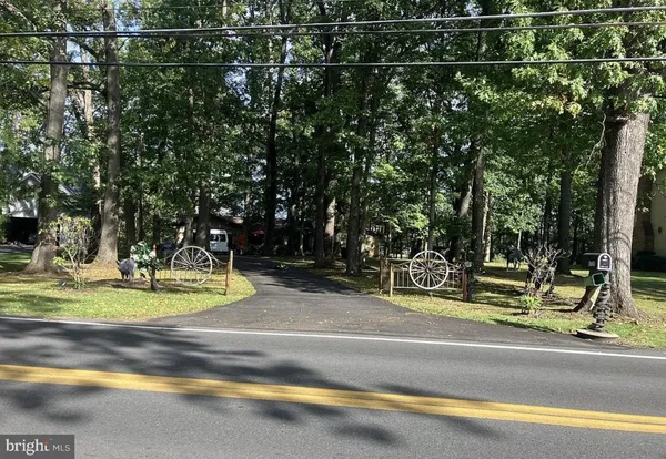 a view of a swimming pool with a patio and plants