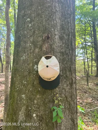 $269,000 | 150 Central Boulevard, Flora, MS 39071