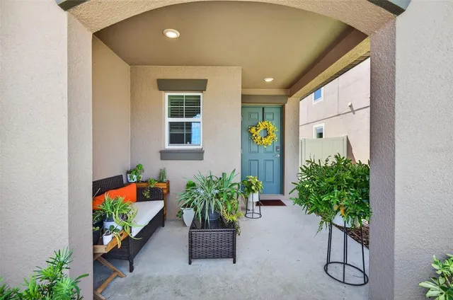 a potted plant sitting in front of a house