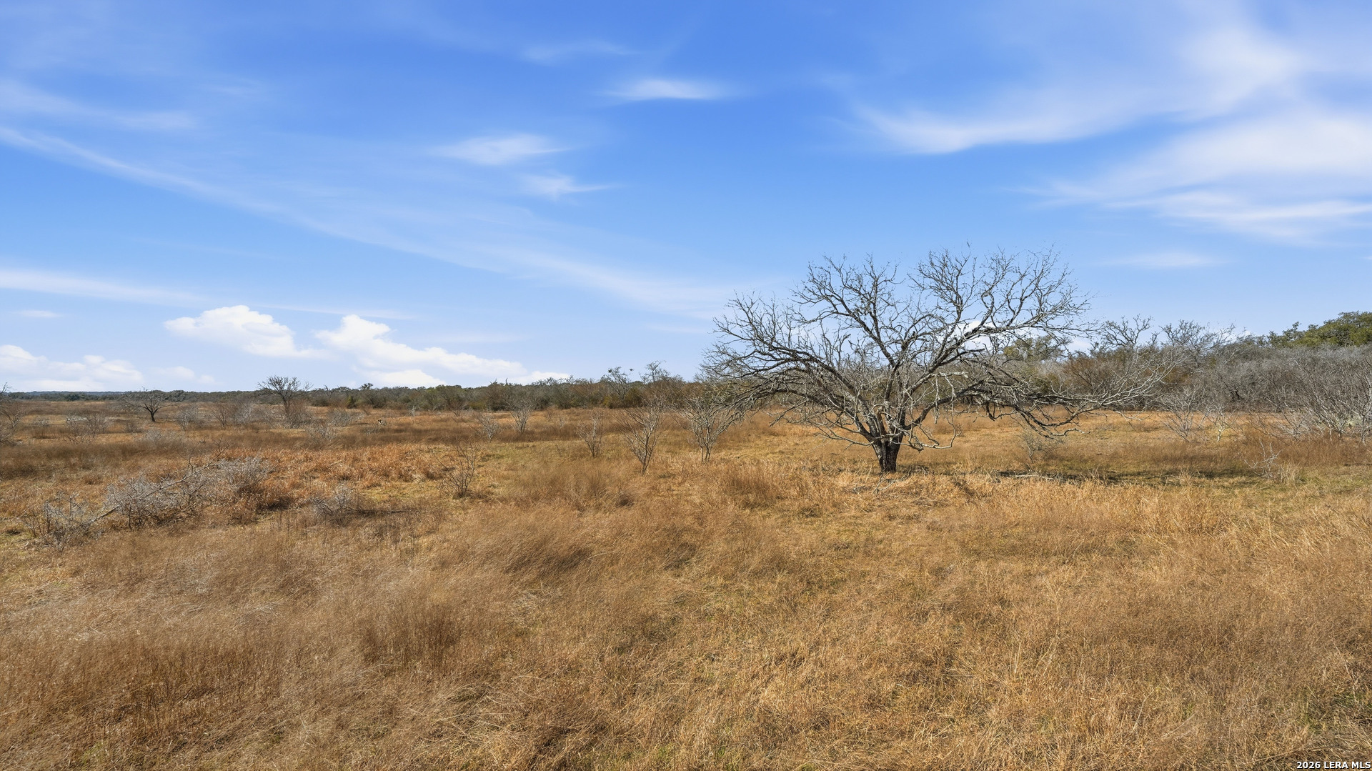 Tbd Hohn Road Nordheim, TX 78141 - Photo 11 of 18