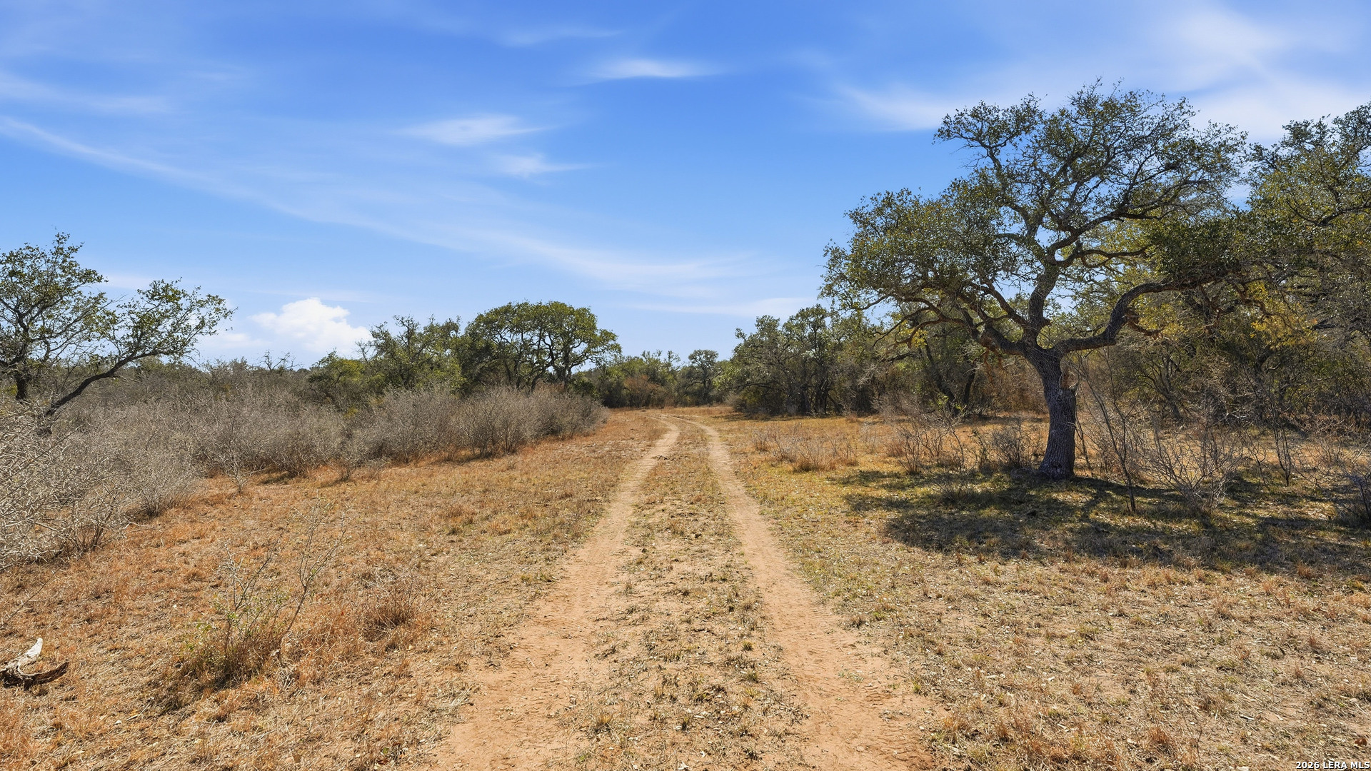 Tbd Hohn Road Nordheim, TX 78141 - Photo 13 of 18