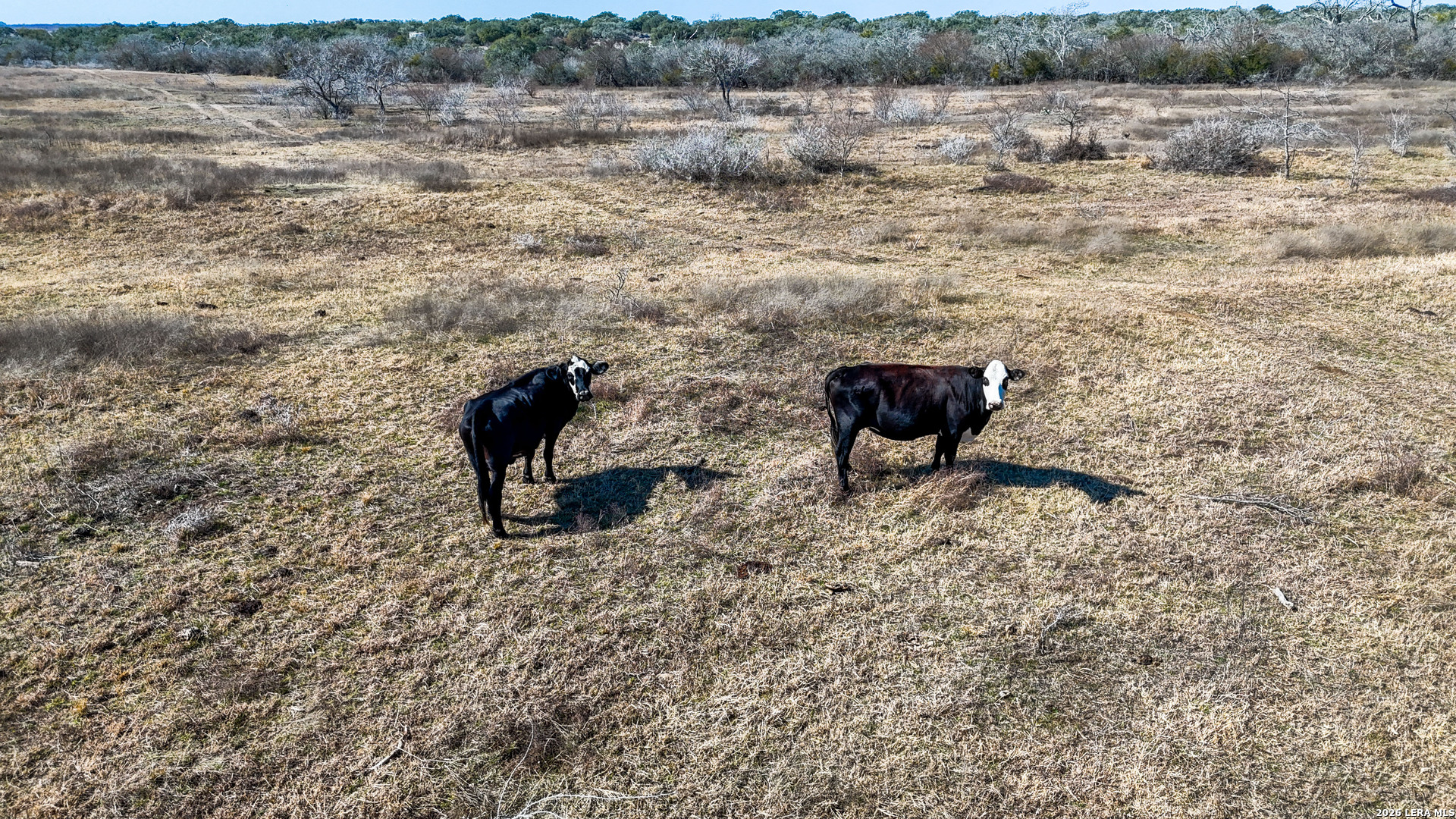 Tbd Hohn Road Nordheim, TX 78141 - Photo 4 of 18