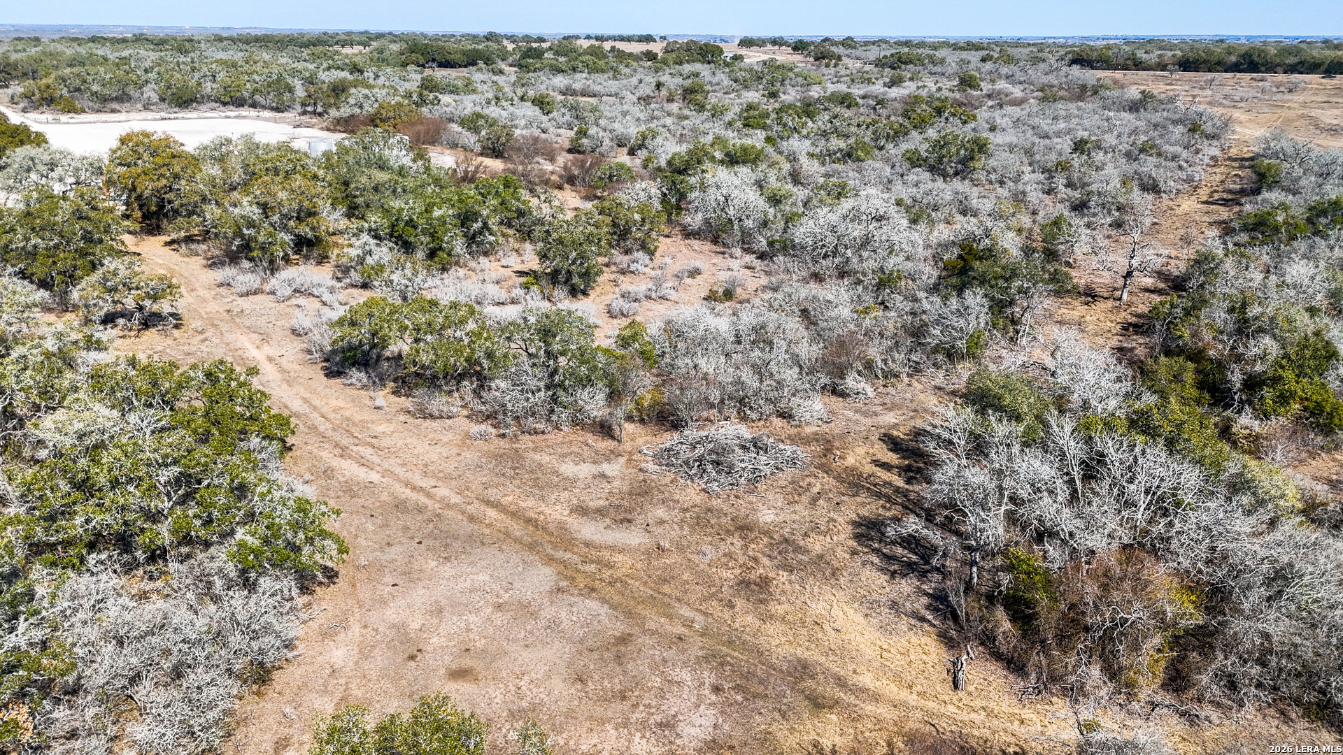 Tbd Hohn Road Nordheim, TX 78141 - Photo 4 of 18 a view of a forest with trees in the background