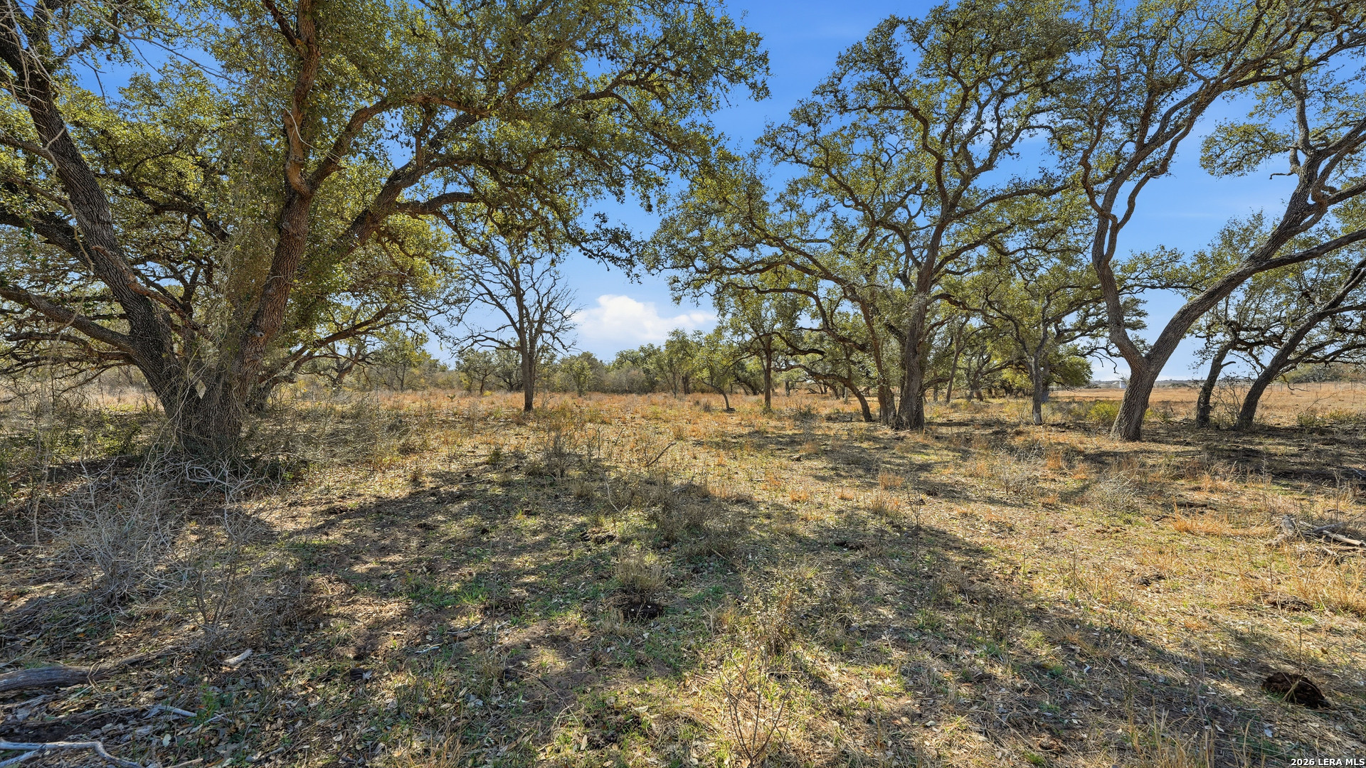 Tbd Hohn Road Nordheim, TX 78141 - Photo 6 of 18 a view of empty yard with large trees