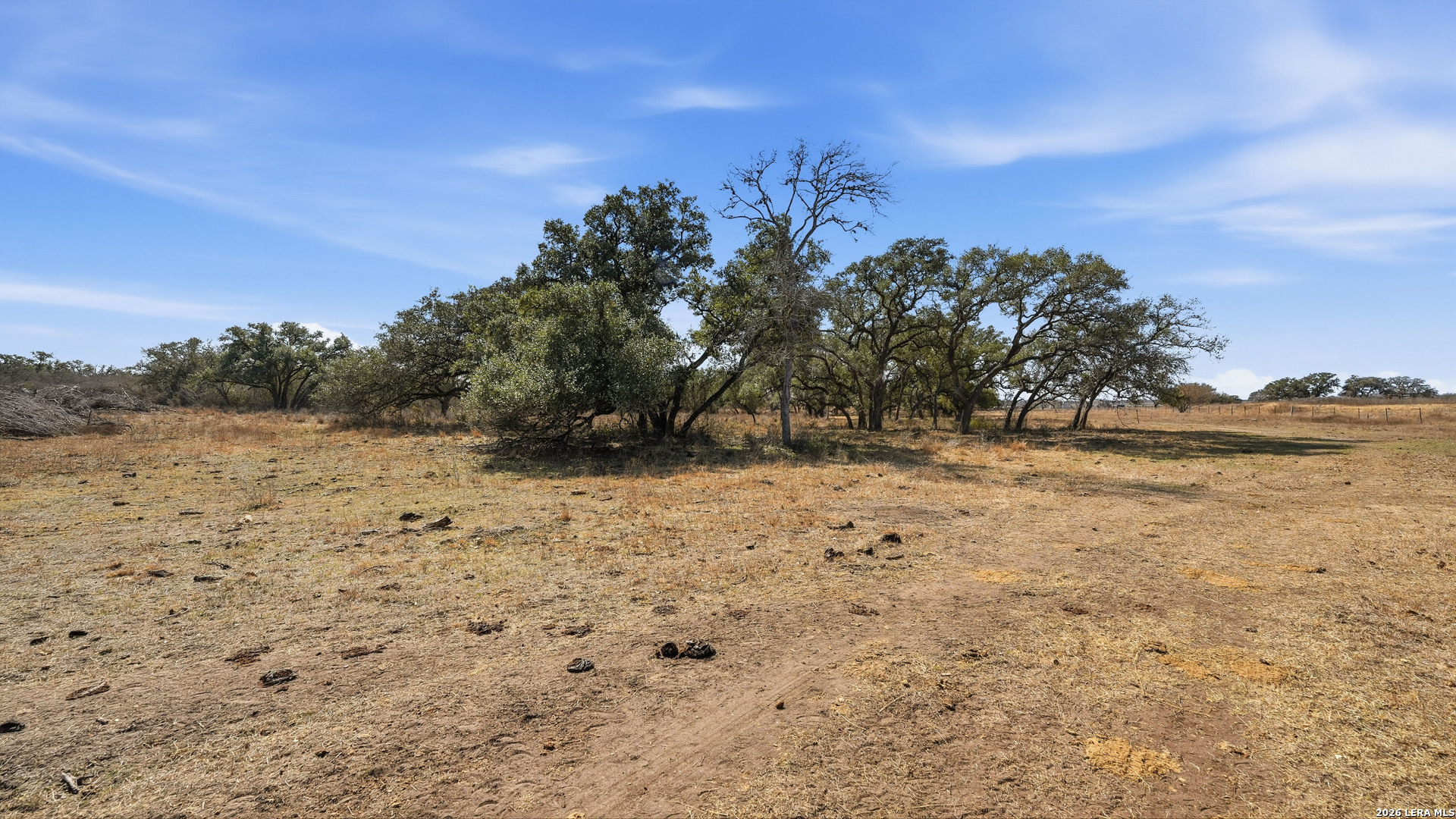 Tbd Hohn Road Nordheim, TX 78141 - Photo 7 of 18