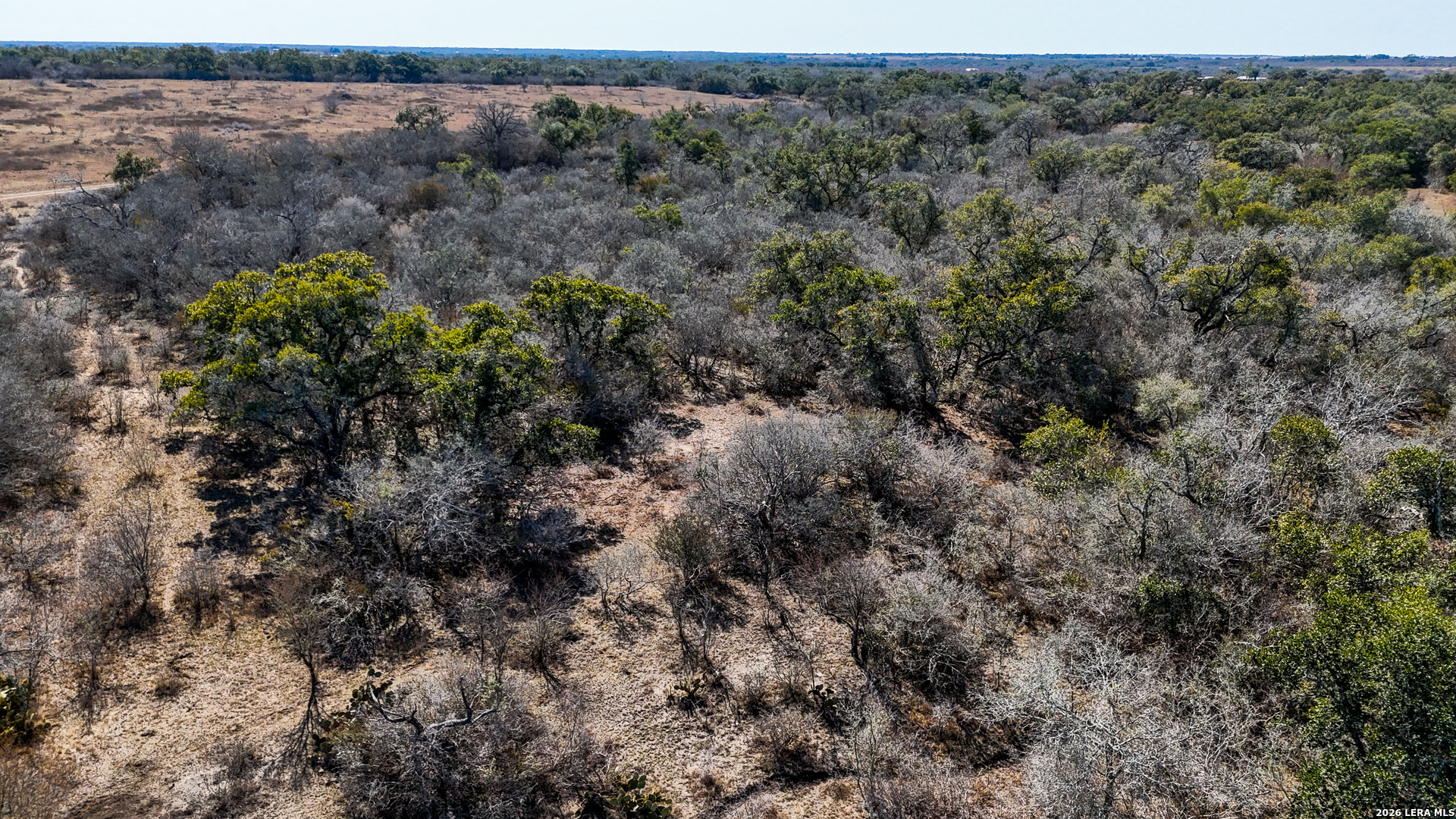 Tbd Hohn Road Nordheim, TX 78141 - Photo 9 of 18