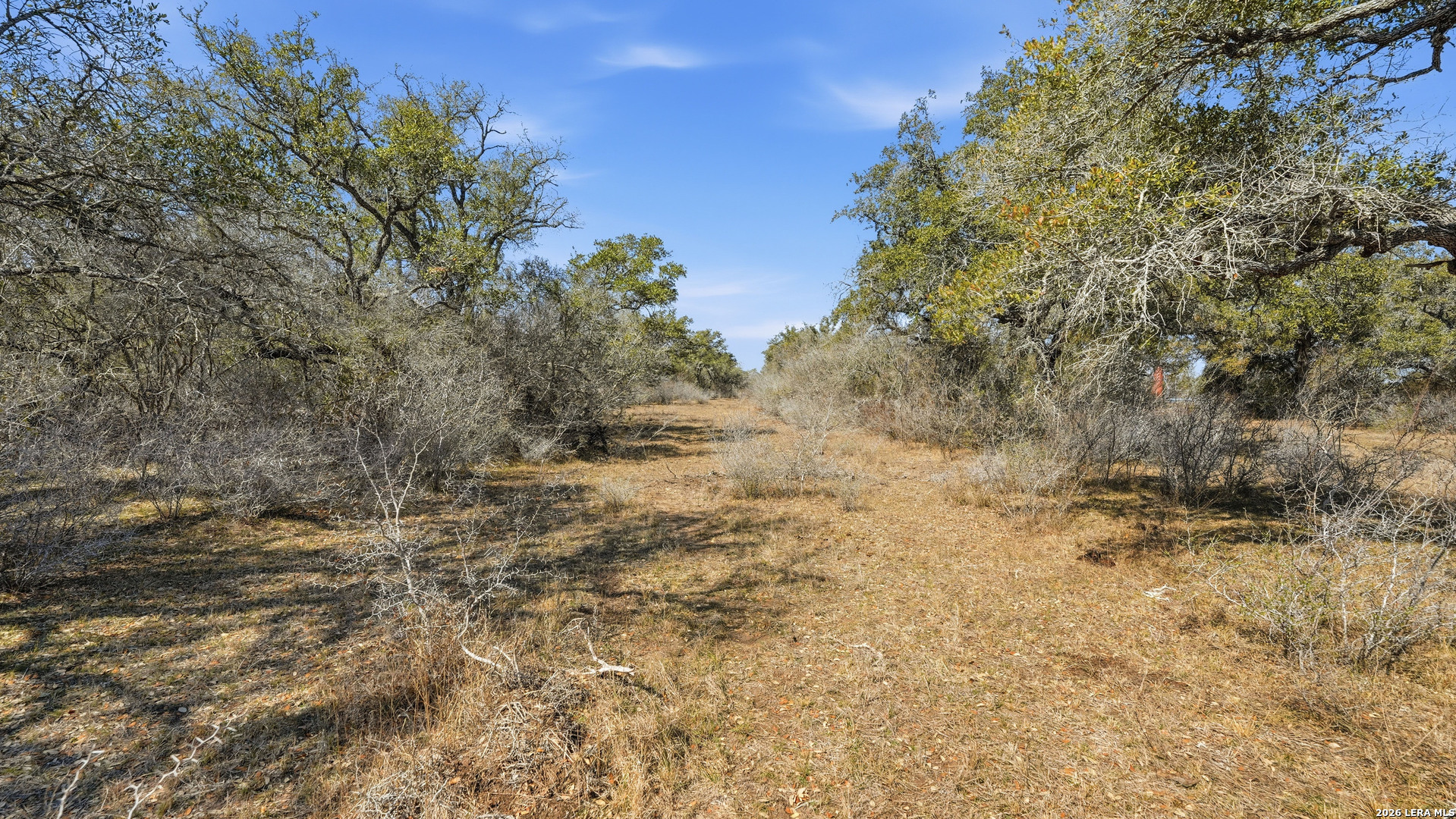 Tbd Hohn Road Nordheim, TX 78141 - Photo 10 of 18