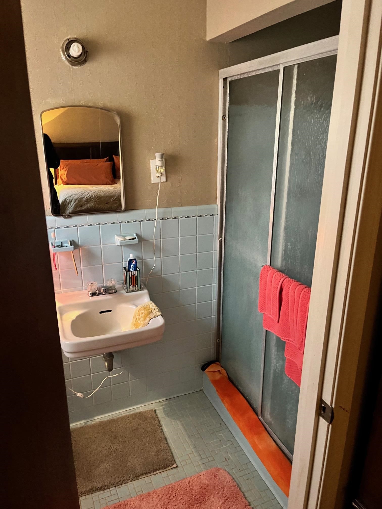 2951 Bannockburn Road Memphis, TN 38128 - Photo 13 of 18 a bathroom with a sink and a mirror