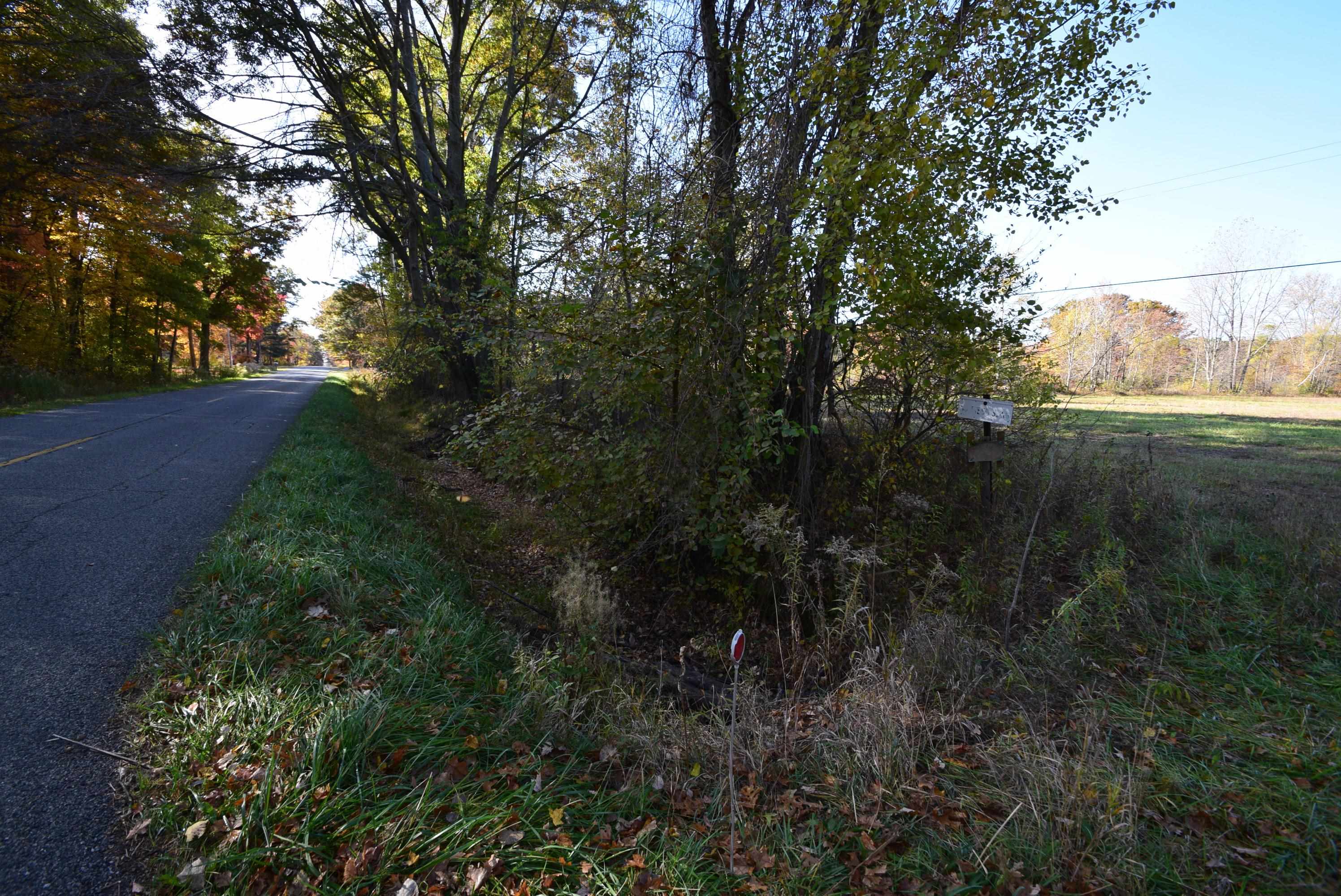 Eleven North Mile Road Sanford, MI 48657 - Photo 5 of 13