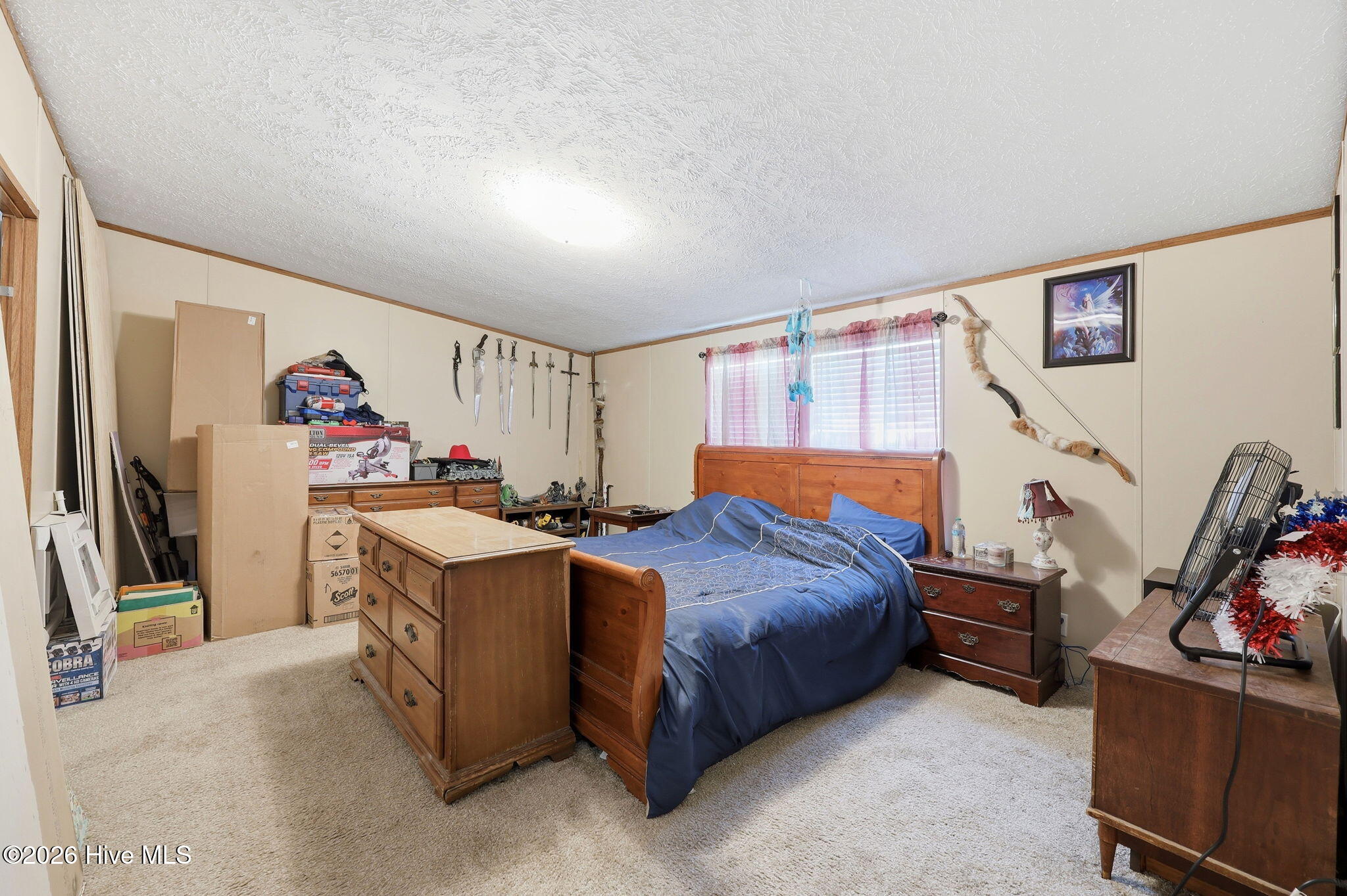 260 Low Ground Road Enfield, NC 27823 - Photo 7 of 9