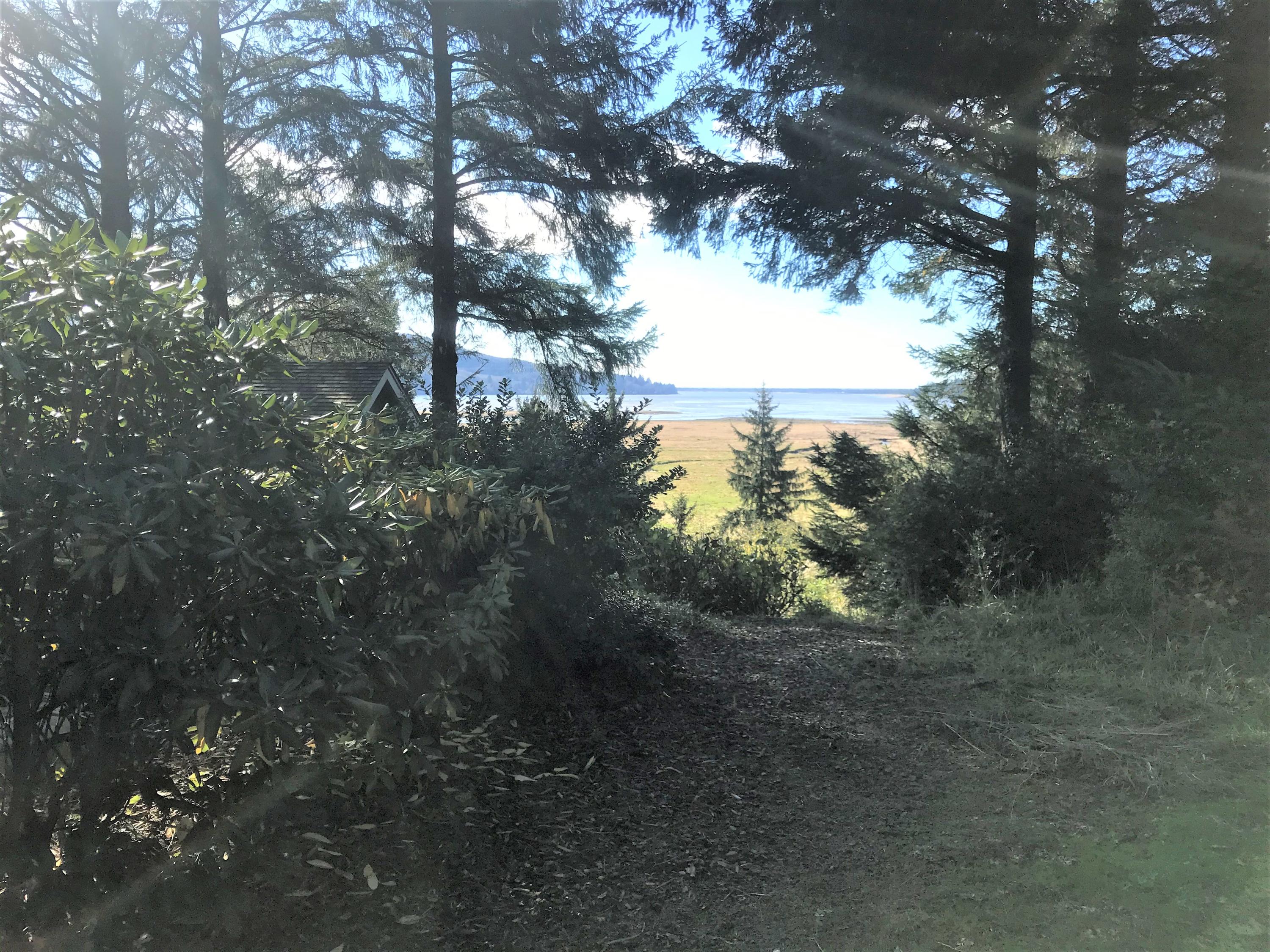 Lot #8 Nehalem Point Astoria, OR 97103 - Photo 5 of 6 Wrenn Lot 1800 IMG_8739 - Copy (3)