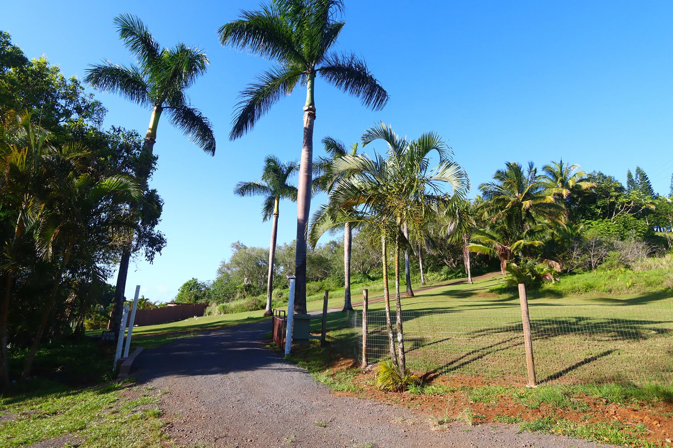 14 Lower Ulumalu Road Haiku, HI 96708 - Photo 44 of 50 a view of a backyard