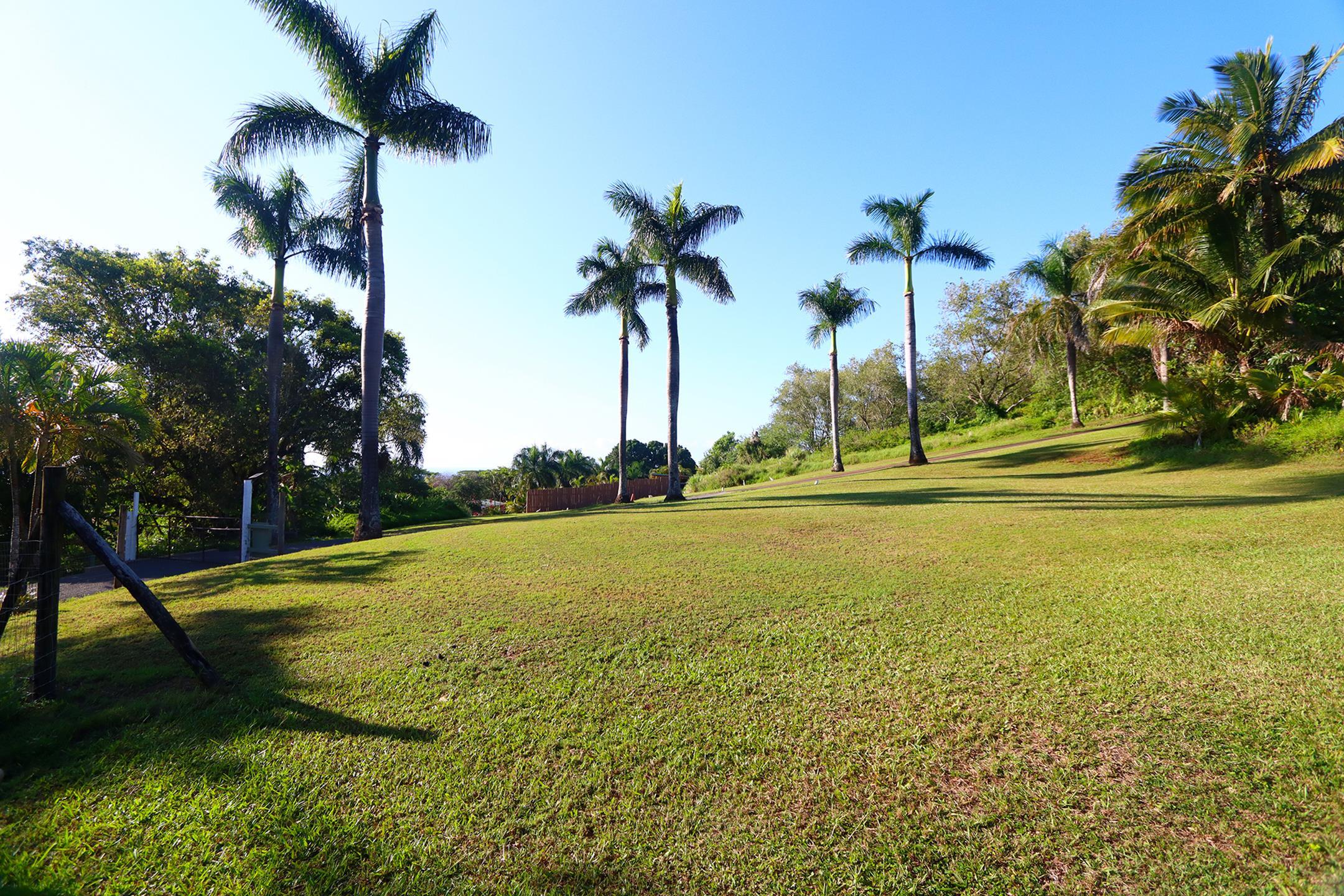 14 Lower Ulumalu Road Haiku, HI 96708 - Photo 45 of 50 a view of a yard