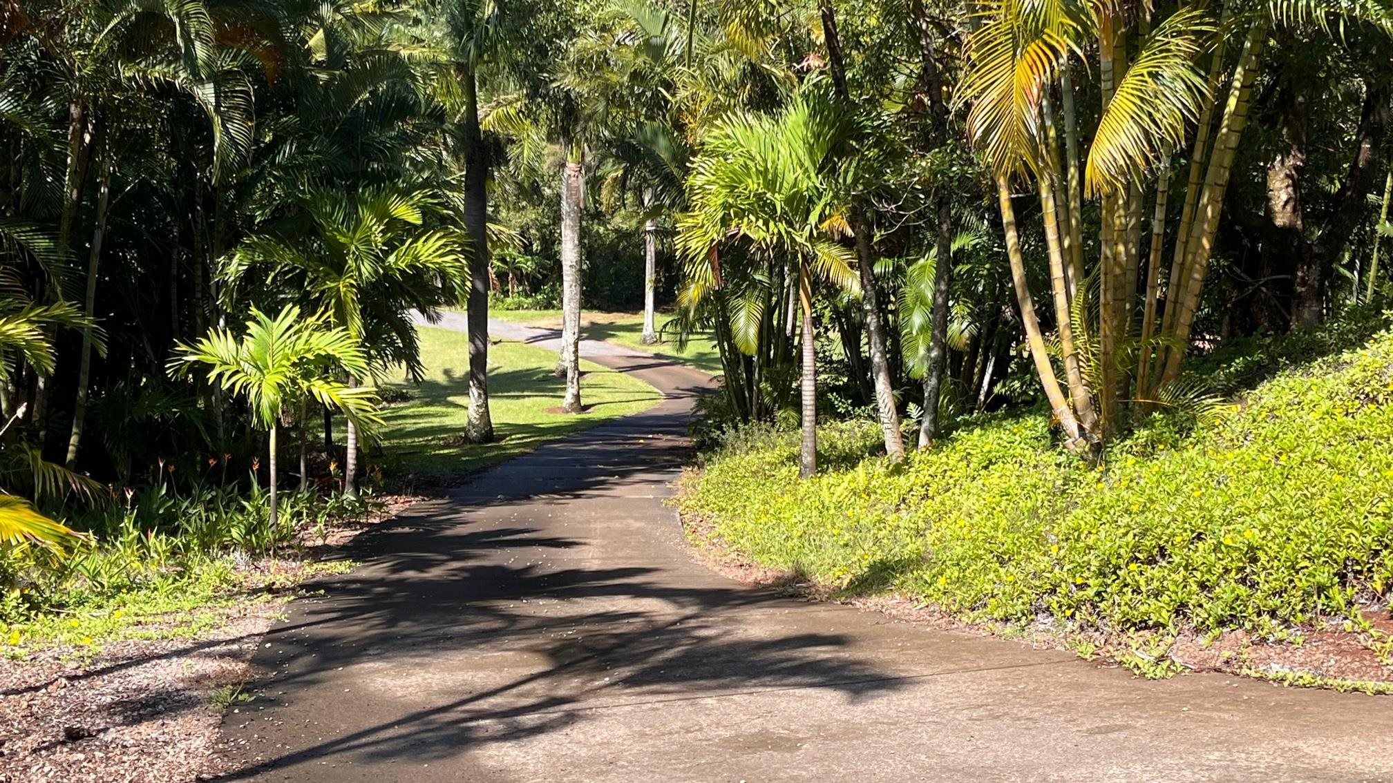 14 Lower Ulumalu Road Haiku, HI 96708 - Photo 47 of 50 a view of a pathway with a yard