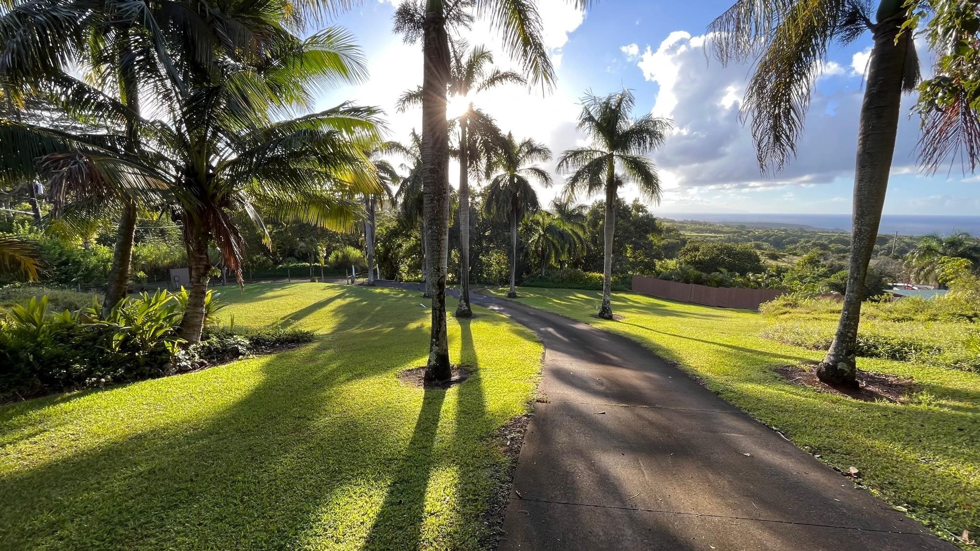 14 Lower Ulumalu Road Haiku, HI 96708 - Photo 48 of 50 a view of swimming pool with a yard