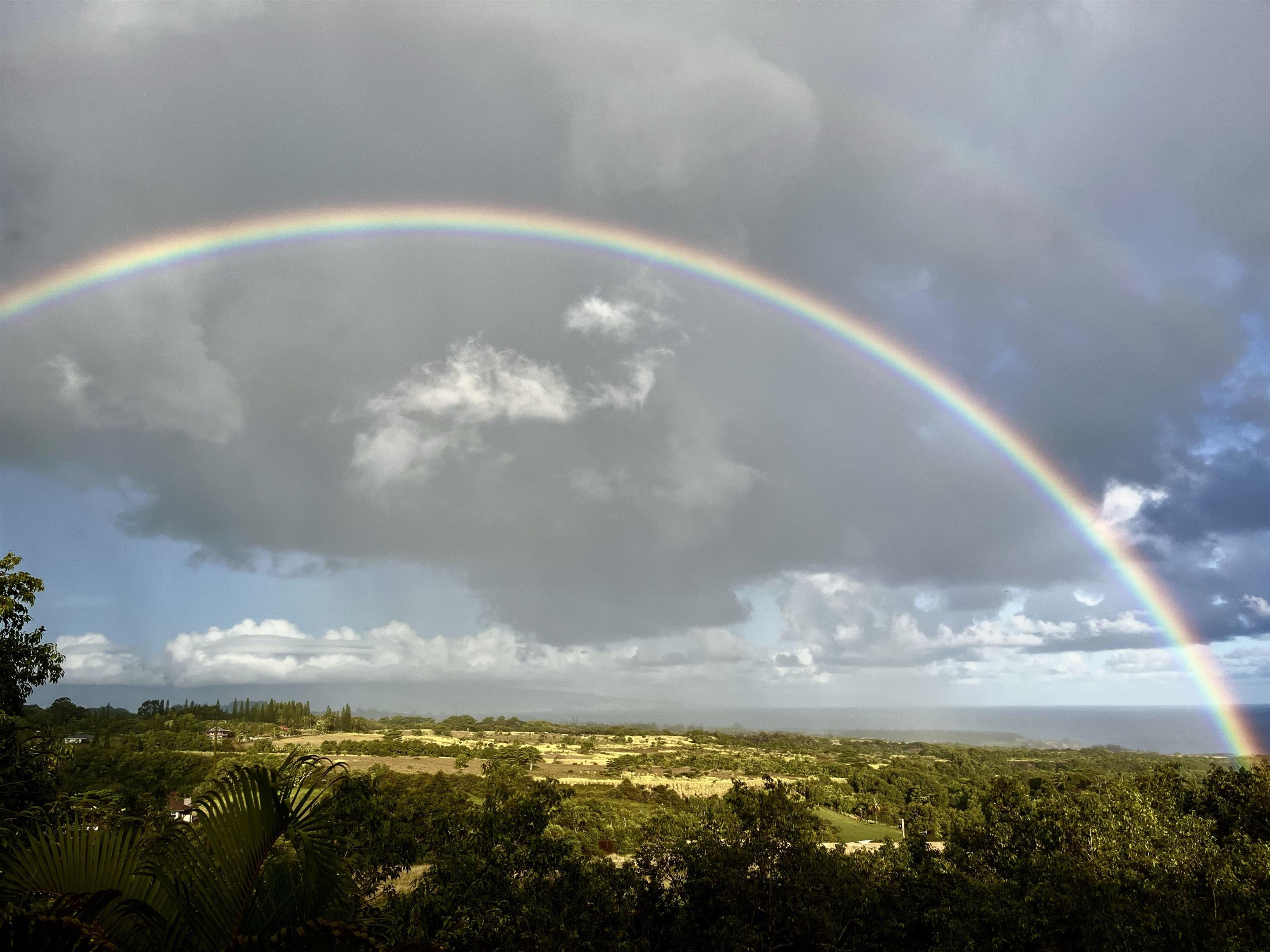 14 Lower Ulumalu Road Haiku, HI 96708 - Photo 50 of 50 a view of water heater in back yard