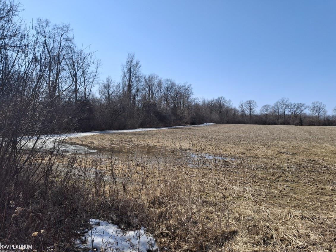 0 Jordan Road Yale, MI 48097 - Photo 3 of 3