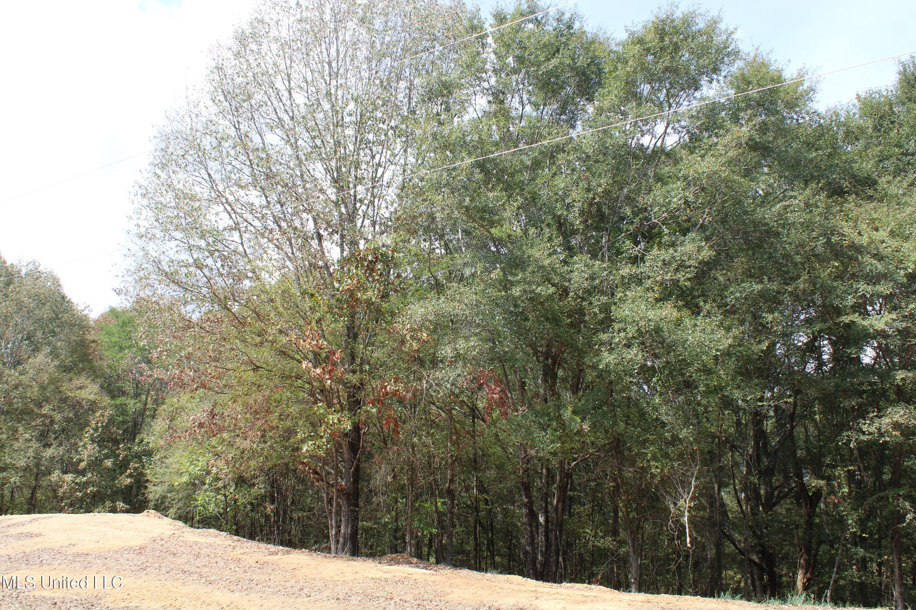 21 Hickory Hollow Road Coldwater, MS 38618 - Photo 25 of 70 IMG_6585