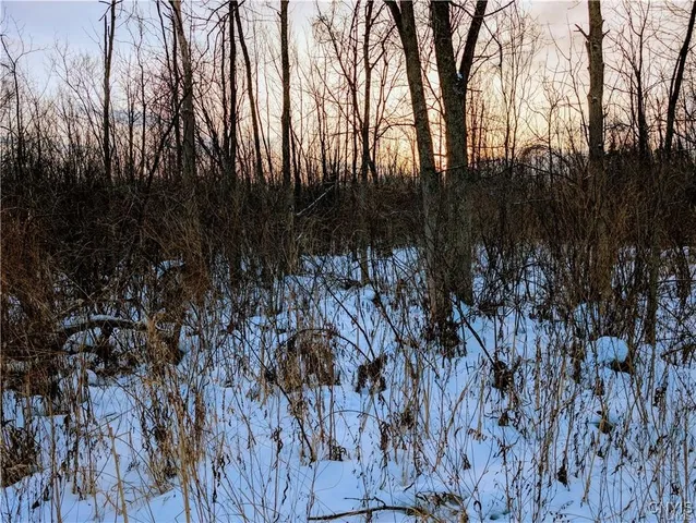 $55,000 | Manlius Road North, Kirkville, NY 13082