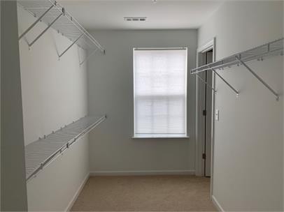 405 Birr Drive Spring Hill, TN 37174 - Photo 6 of 9