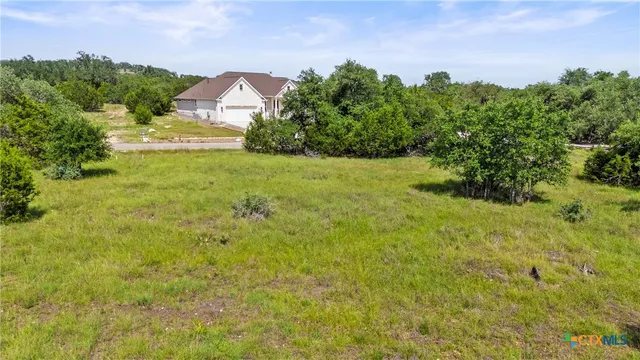 a view of a big yard with plants and large trees