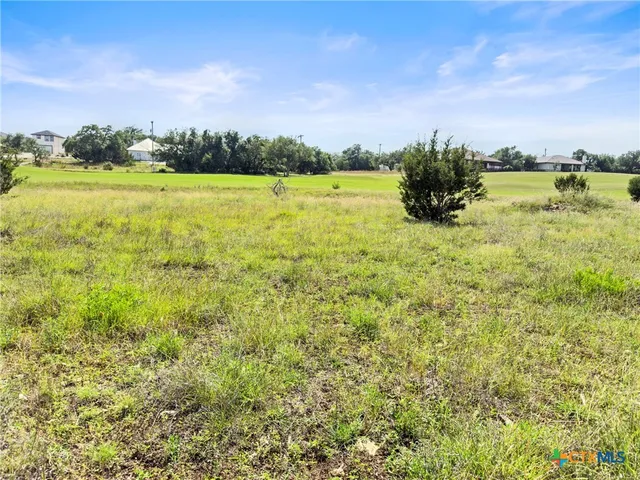 a view of a field with an ocean