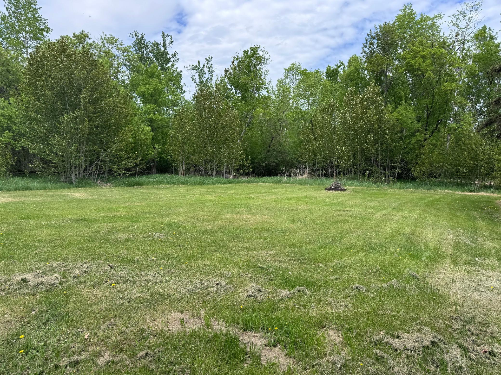 201 Schilling Road Southeast Bagley, MN 56621 - Photo 4 of 25