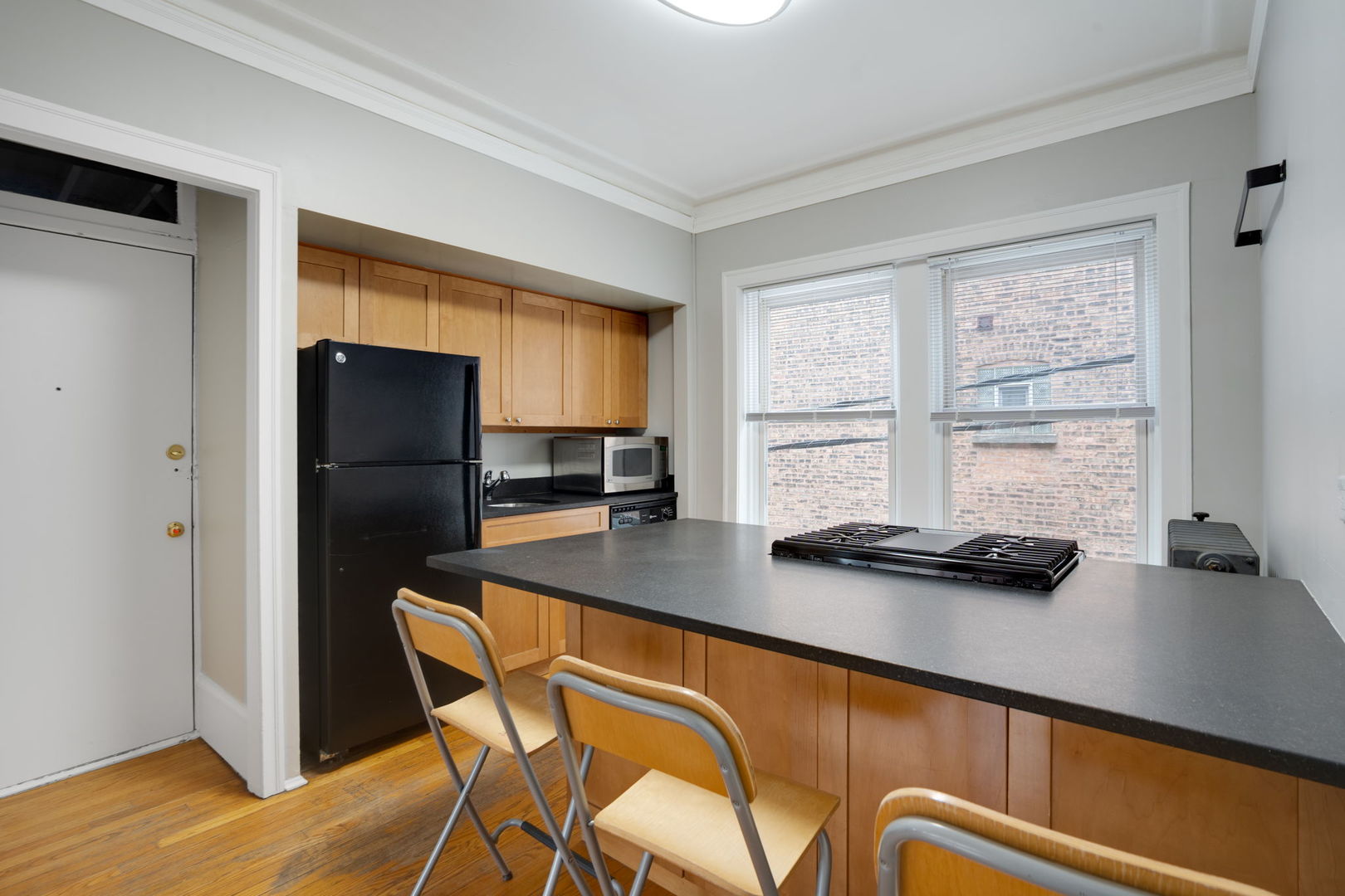 538 West Brompton Avenue, Unit 2E Chicago, IL 60657 - Photo 4 of 18