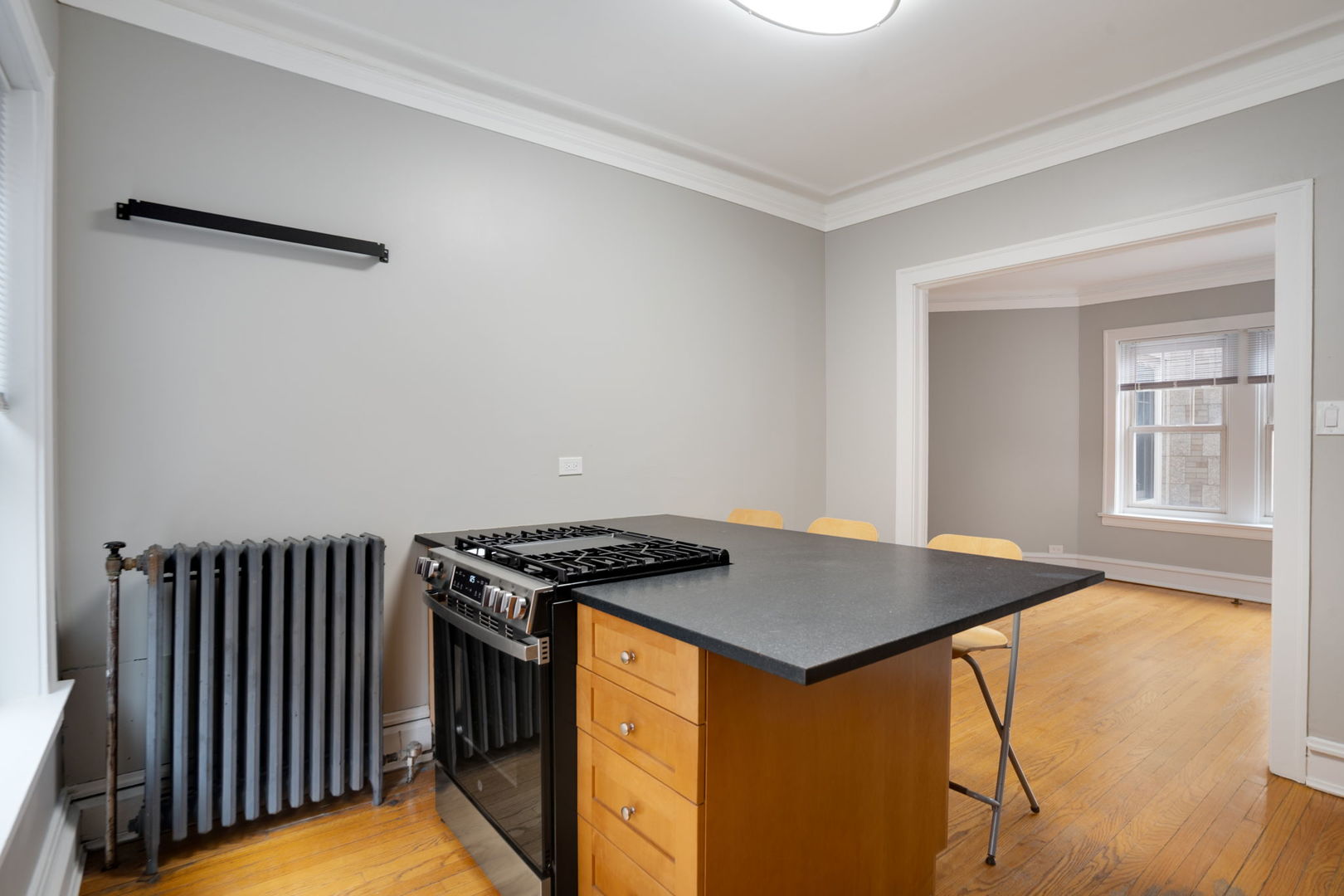 538 West Brompton Avenue, Unit 2E Chicago, IL 60657 - Photo 5 of 18