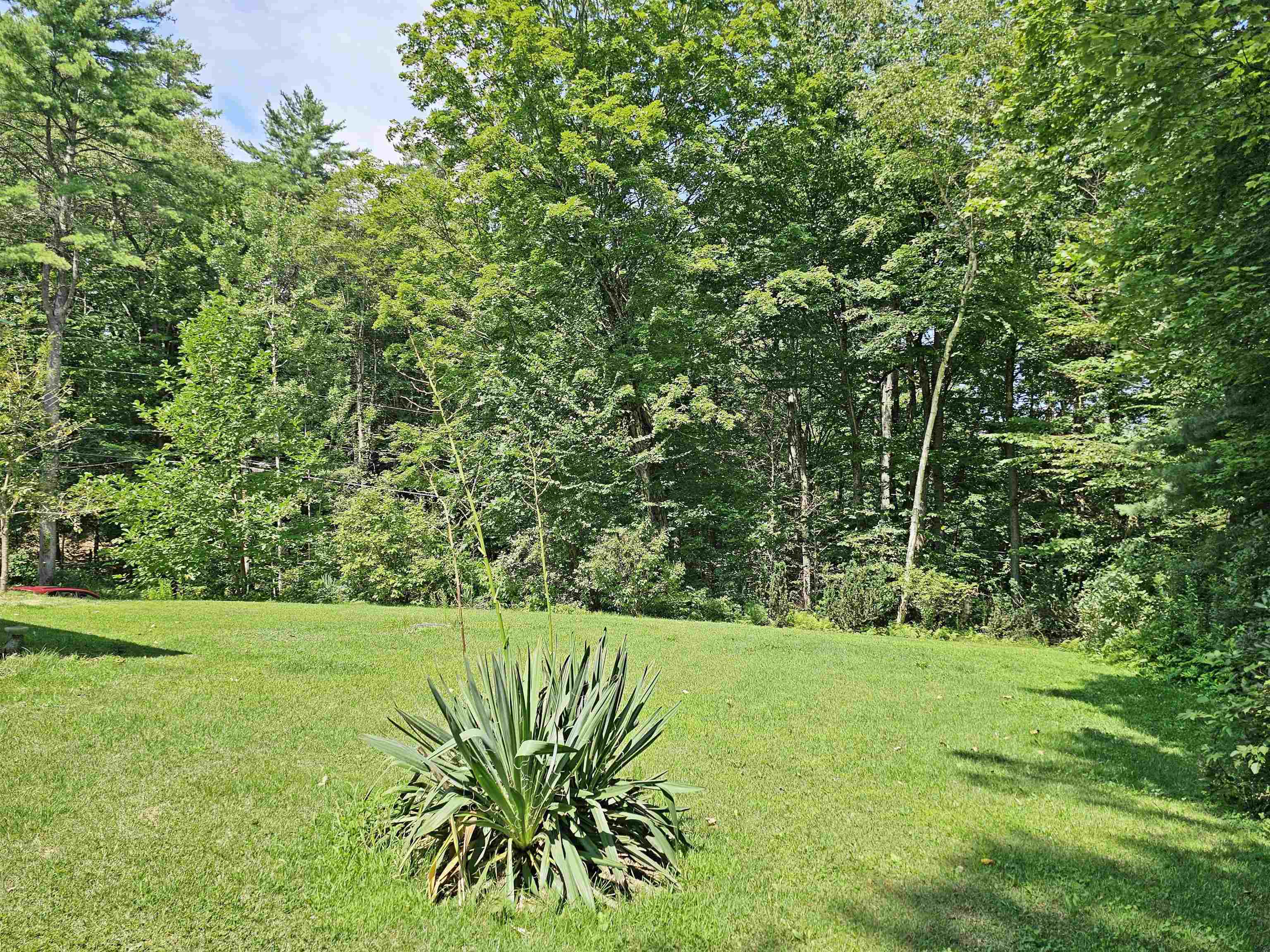 10 Burt Hill Road Winchester, NH 03470 - Photo 27 of 38 Gallery Image 27